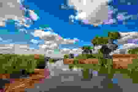 JPEG image with visible compression artifacts