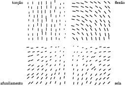  canschemes.2 